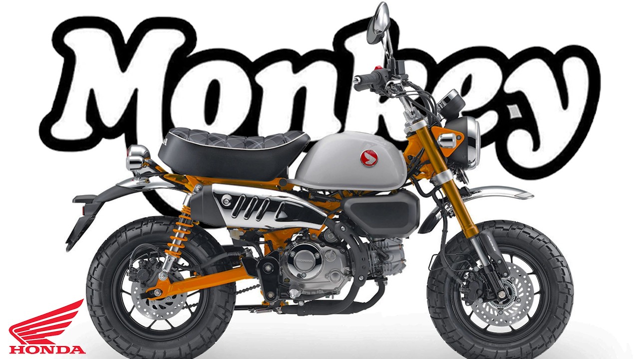 HONDA MONKEY 125 - colors | 2026 | - YouTube