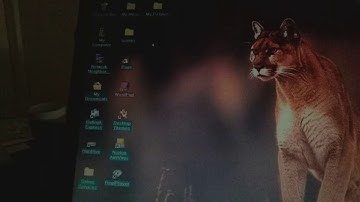 Windows 98 minesweeper