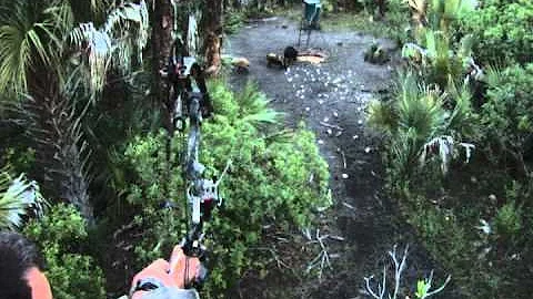 Major Encounters Florida Hog Hunting.avi