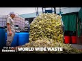 Can pineapple skins replace soap  world wide waste  insider business