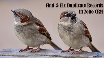 Find and Fix Duplicate Records in Zoho CRM by DeDupe Extension