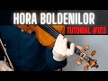 TUTORIAL VIOARĂ #123 🎻 HORA BOLDENILOR by Florea Cioacă (rezumat)