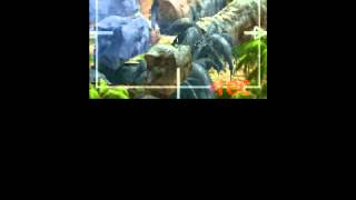 Final Fantasy 8 Unused Room 216