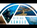 Ultimate diving komodo on board carpe diem phinisi  travel  dive guide cinematic