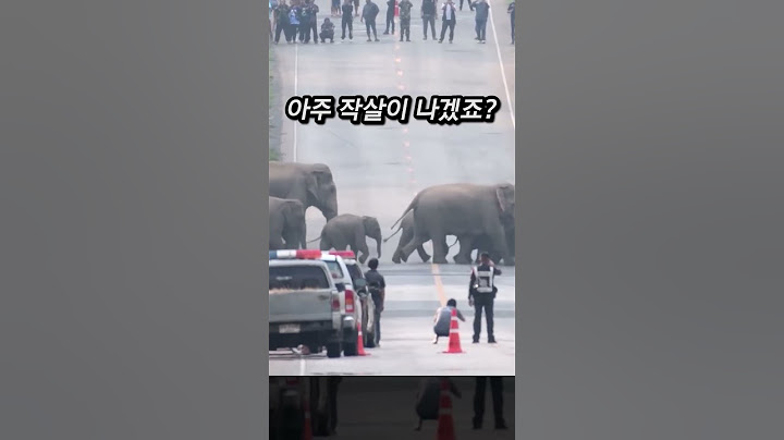 공존은 어려워~