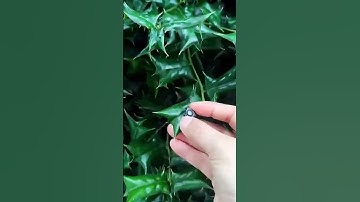 mini 5g wireless wifi camera 1080p #minicamera #camera #hidden #gadgets #toys #shorts #viral