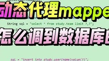 动态代理mapper是怎么调到数据库的？ 介绍mybatis注册mapper，调用流程底层逻辑#编程 #java #程序员 #学习 #教程
