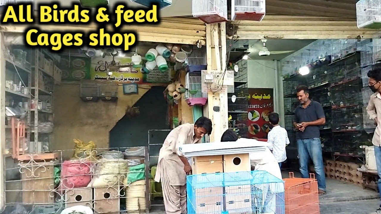 Visit Madina Birds Shop in karachi Cages & feed B4BIRDS YouTube