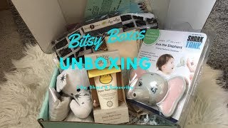 Bitsy Boxes Unboxing Feb 2019