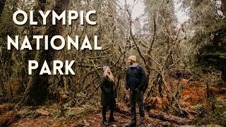 STARTING OUR TRIP DOWN HIGHWAY 101 | Washington State | Hoh Rainforest | Olympic National Park