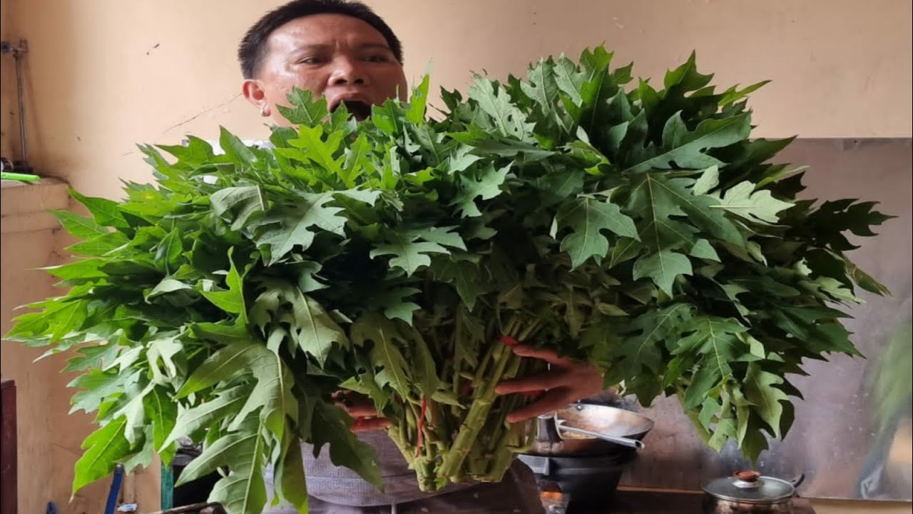 OSENG OSENG DAON PEPAYA SUPER ENAK