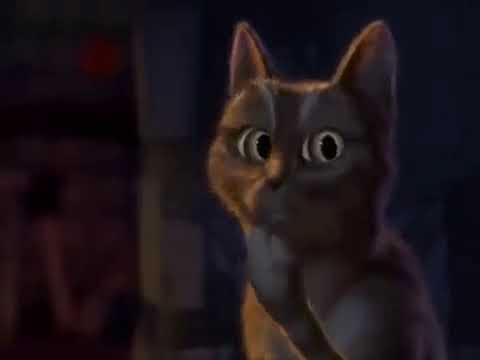 Meme de el gato - meme plantilla - YouTube