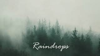 INNARDZ - Raindrops (Official Audio)