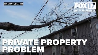 Icy branches leave thousands without power in Old Hickory