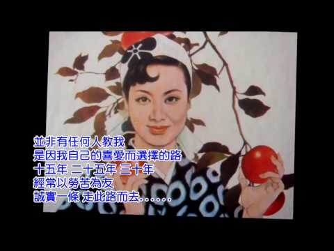 命運青紅燈