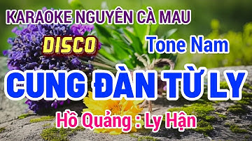 Karaoke Cung Đàn Từ Ly (DISCO) Hồ Quảng | Ly Hận | Tone Nam | Nguyên Cà Mau 18/9/2024
