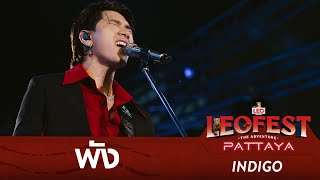 พัง - INDIGO | LEO FEST The Adventure Pattaya