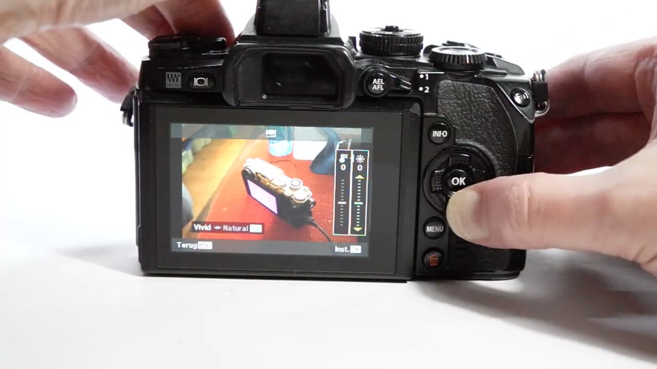 Shuttercount Oly OM-D/PEN