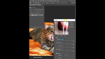 Oil Painting - Photoshop Tutorial