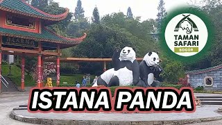 MENUJU ISTANA PANDA - TAMAN SAFARI INDONESIA 