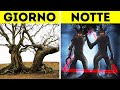 Gli Scienziati Non Riescono A Spiegare Cosa Succede In Questa Foresta Inquietante