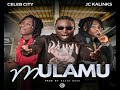 Celeb city ft jc kalinks iyo ine mulamu prod by rizzo bxss