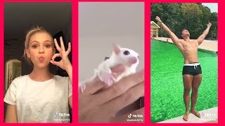 Funny Awesome and Cute Tik Tok Compilation! by FunnyPeopleVideos 1,084 views 5 years ago 10 minutes, 1 second