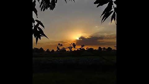 القارئ محمد سلامة | ما تيسر من سورة يوسف | تراويح 1446ه