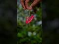 Creative Outdoor Photoshoot Concepts with Lehnga