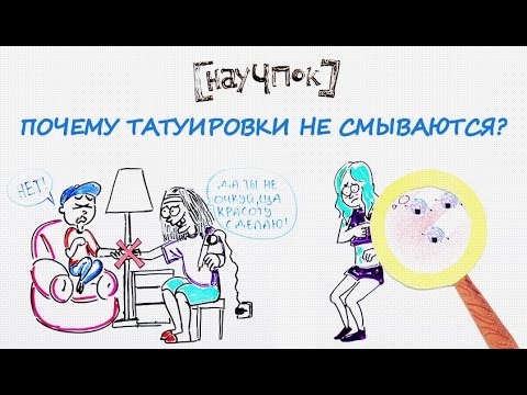 Почему татуировки не смываются? — Научпок