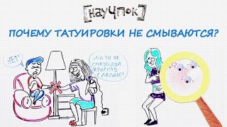 Почему татуировки не смываются? - Научпок