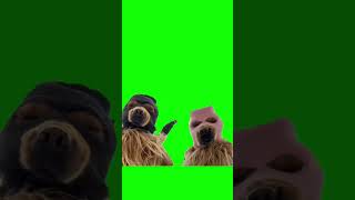 Green Screen Gangster Dog#Shorts