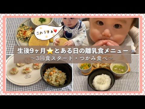 離乳食後期 生後9ヶ月 一日の離乳食メニュー 3回食始めました つかみ食べ大好き にんじんパンケーキ 豆腐とまぐろのお焼き 鶏ひき肉とまぐろバーグetc Youtube 離乳食後期 生後9ヶ月 一日の離乳食メニュー 3回食始めました つかみ食べ大好き にんじんパンケーキ 豆腐とまぐろのお焼き 鶏ひき肉とまぐろバーグetc Youtube