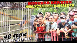BONGKAR RAWATAN - MURAI BATU MUDA HUTAN RUSAK GAGAL MABUNG DAN JALAN MATAH MATAH JADI PRESTASI