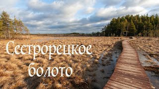 Сестрорецкое болото