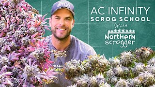 AC INFINITY SCROG SCHOOL WITH @NorthernScrogger - EPISODE 1: GOING OVER THE GEAR