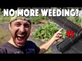 Weed Barrier Fabric Review | A GAME CHANGER For Our Garden! | DeWitt vs. EcoGardener vs. Scotts