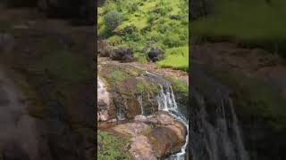 Relax, Clip Watching