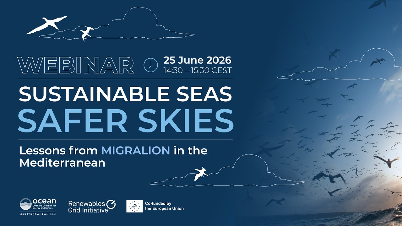 Med OCEaN Webinar | Sustainable Seas, Safer skies. Lessons from MIGRALION in the Mediterranean