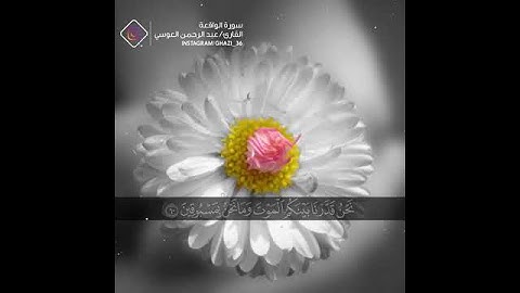 نحن خلقنَاكم فلولا تصدقون//بصوت عبد الرحمن العوسي//اجمل حالات واتس اب دينية//تلاوة مبكية