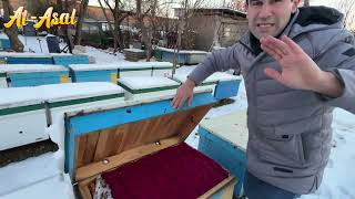 картинка: СИЧҚОНГА ДОРИ, АСАЛАРИГА ҲАВО…
