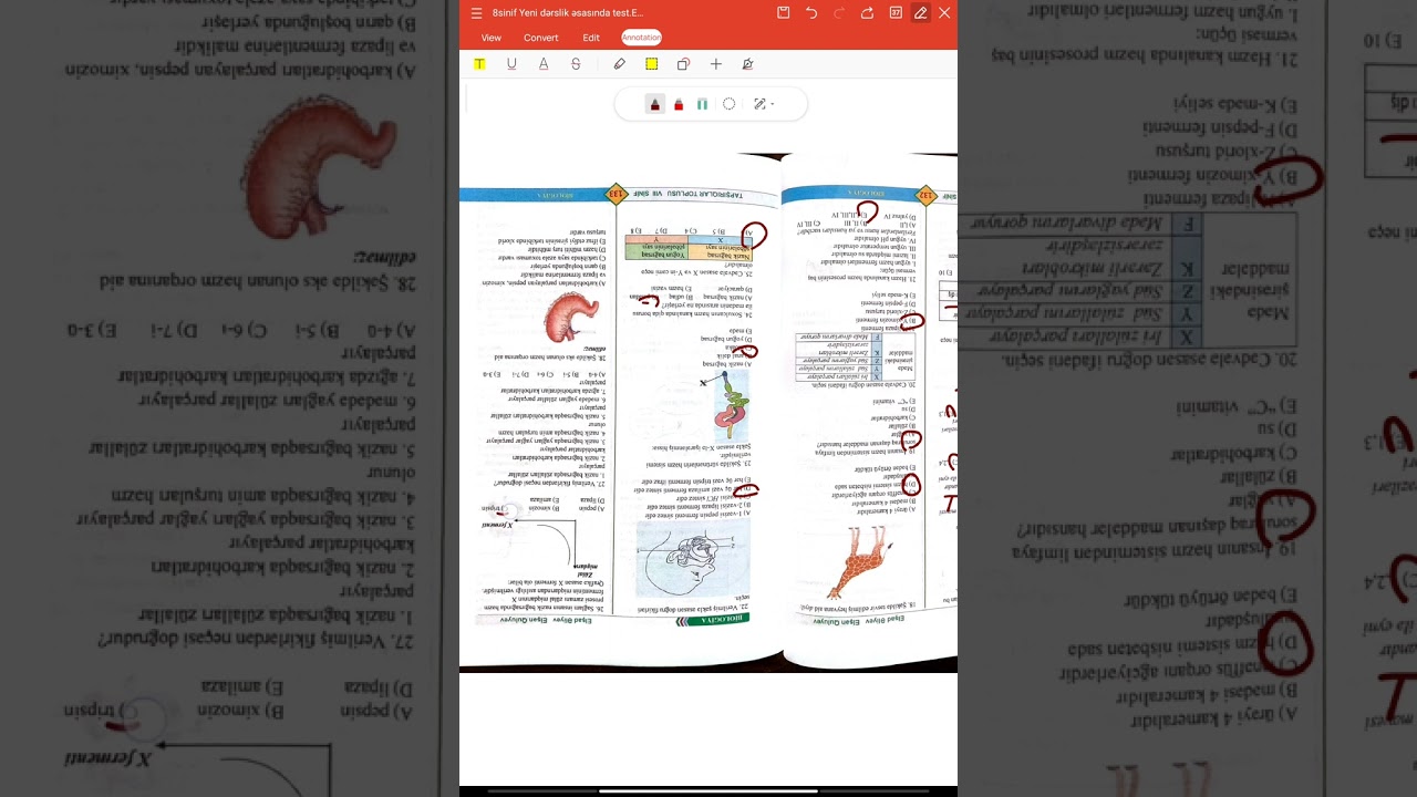 8sinif yeni dərslik əsasında Elşad Əliyev.Həzm və qidalanma #keşfet #kəşfett # #keşfetbeniöneçıkar