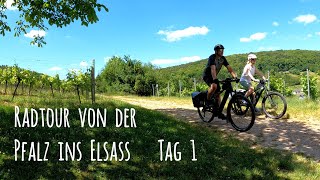 Radtour von der Pfalz ins Elsass - Tag 1