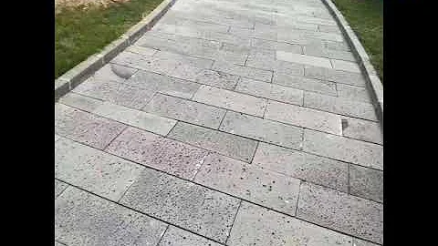 ĐÁ ONG XÁM LÁT SÂN 30X60CM #nhadep #home #diy #tilesgop #maunhaphohiendai