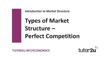 Introduction to Market Structures   Perfect Competition | Economics Revision