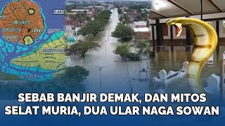 PENAMPAKAN 2 Ular Raksasa Sowan di Makam Sunan Kalijaga saat BANJIR DEMAK, Juru Kunci Ungkap FAKTA