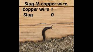 Copper wire for the win