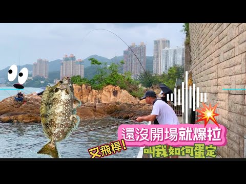 【内含抽奖】一个视频听完莫扎特小提琴协奏曲