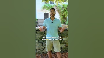 Overwhelmed? Try the Brain Dump Method