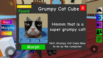 find the floppa morphs how to get grumpy cat cube